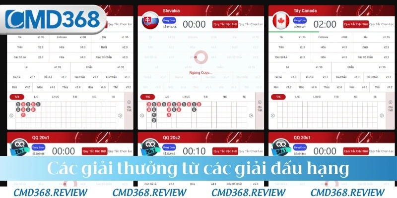Các giải thưởng từ các giải đấu hạng