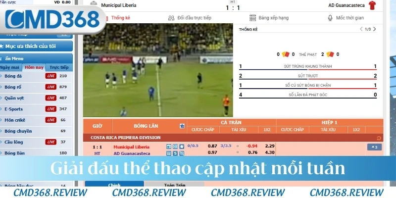 Giải đấu thể thao cập nhật mỗi tuần