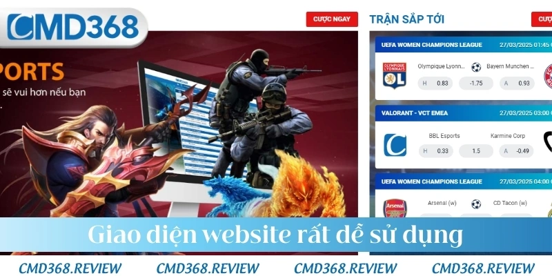 Giao diện website rất dễ sử dụng