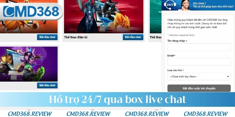 Hỗ trợ 24/7 qua box live chat
