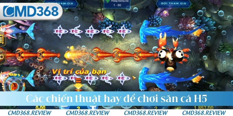 Các chiến thuật hay để chơi săn cá H5