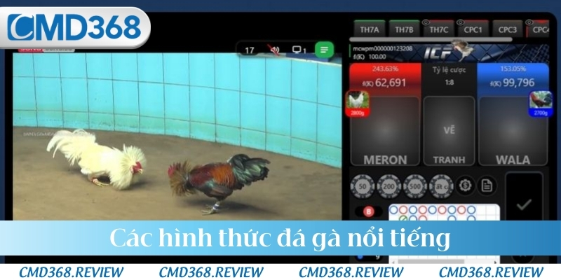Các hình thức đá gà nổi tiếng