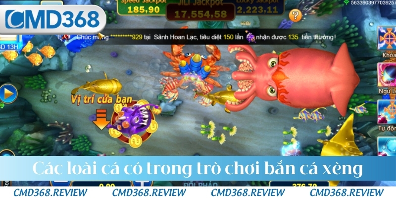Các loài cá có trong trò chơi bắn cá xèng