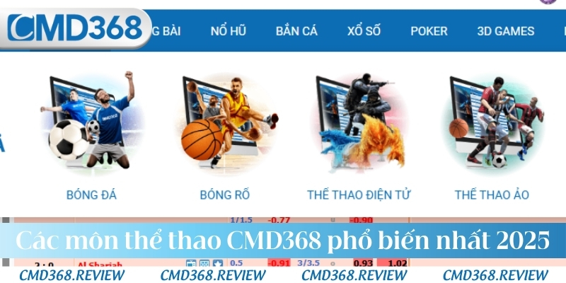 Các môn thể thao CMD368 phổ biến nhất hiện nay