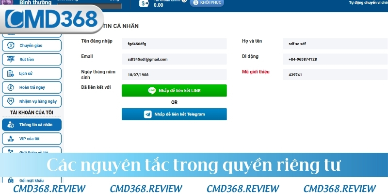 Các nguyên tắc trong quyền riêng tư