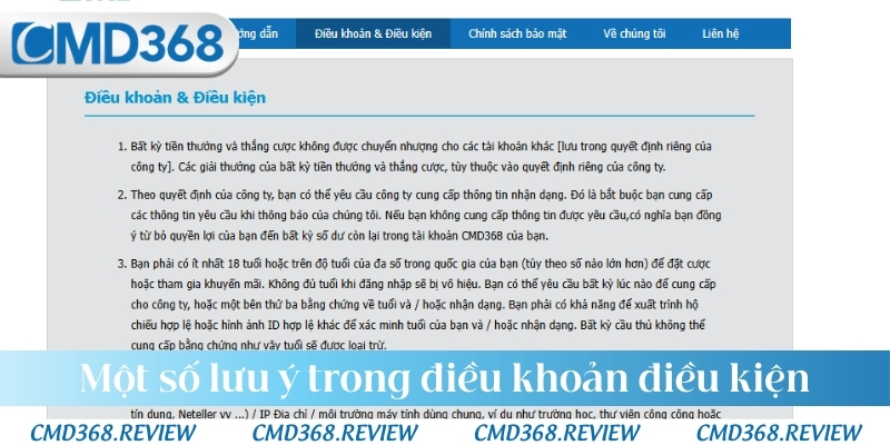Một số lưu ý trong điều khoản điều kiện của hệ thống