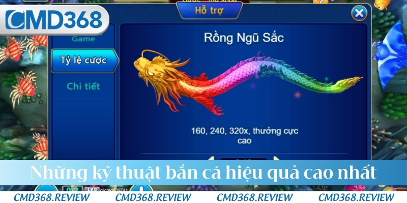 Những kỹ thuật bắn cá hiệu quả cao nhất