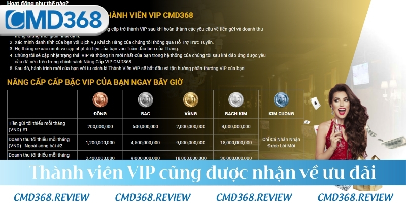 Thành viên VIP cũng được nhận về ưu đãi