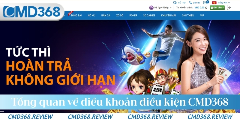Tổng quan chung về điều khoản điều kiện của nhà cái CMD368